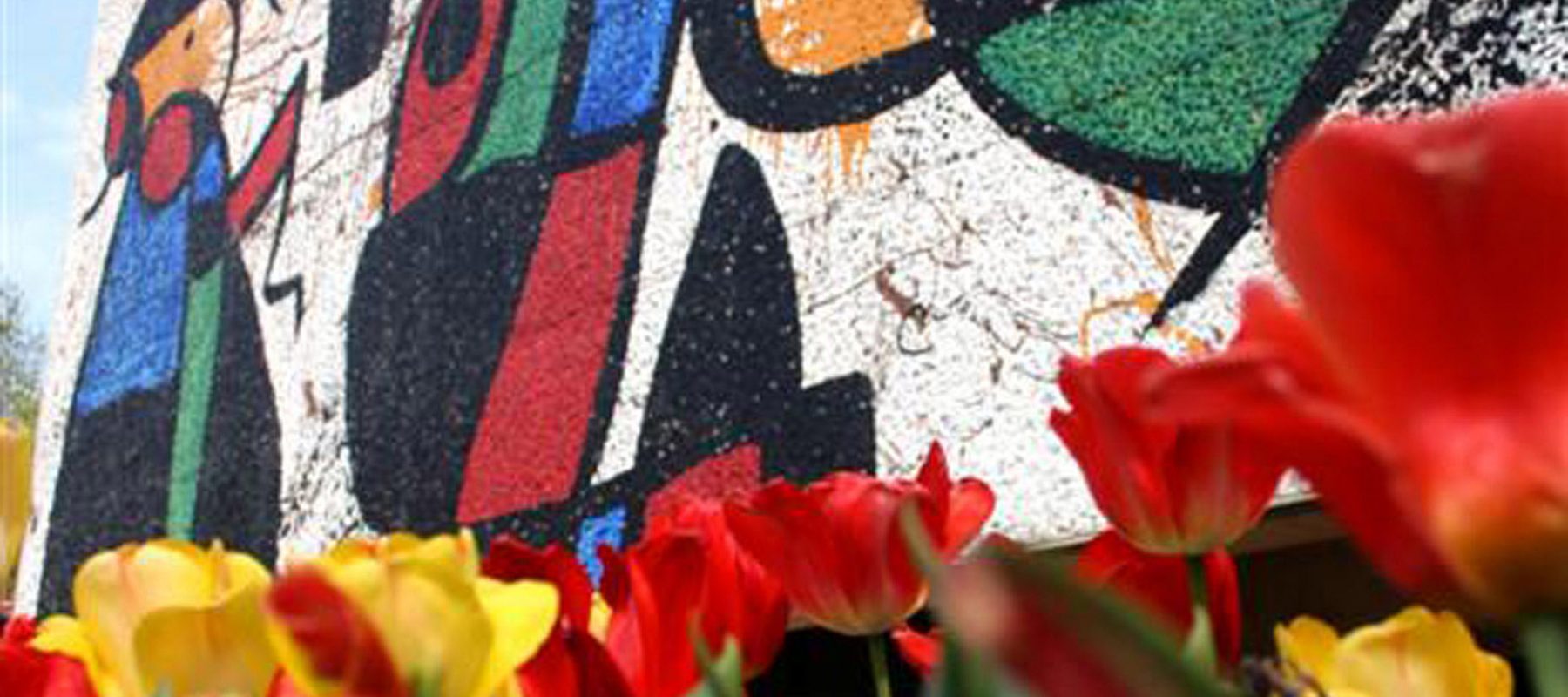 tulips in the foreground of the Miro mural on the exterior of the Ulrich Museum